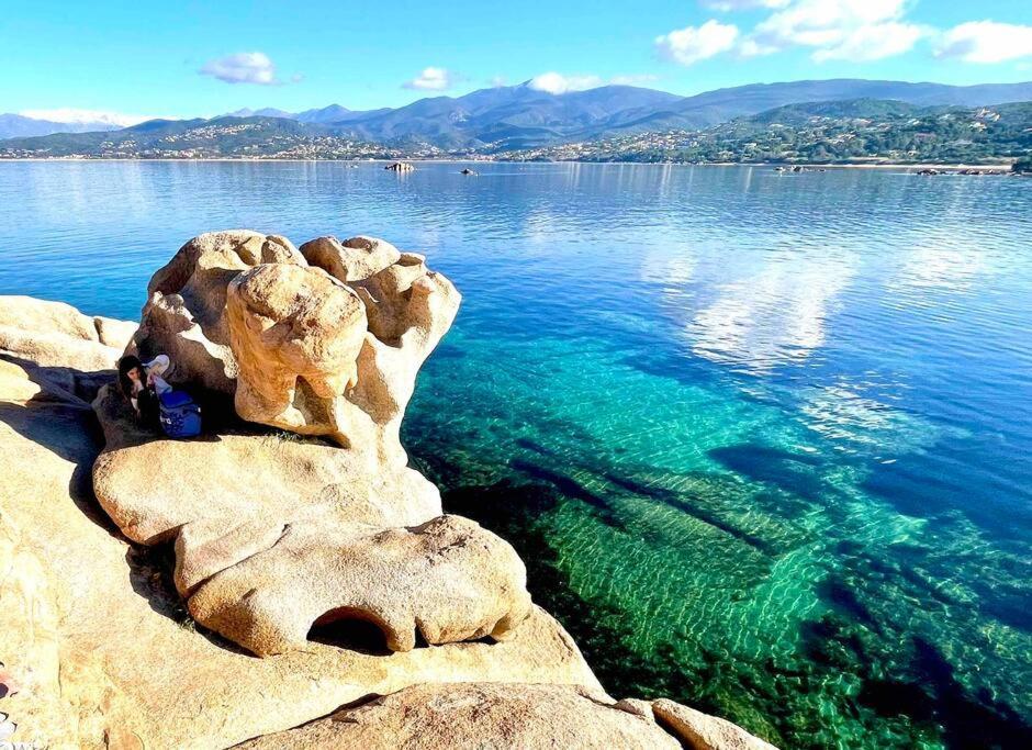 Proche Ajaccio Et Exclusive 2 A 10 Voyageurs *