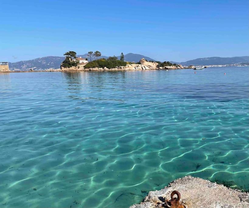 Proche Ajaccio Et Exclusive 2 A 10 Voyageurs *