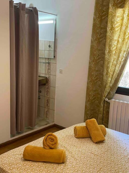 Proche Ajaccio Et Exclusive 2 A 10 Voyageurs * Bastelicaccia