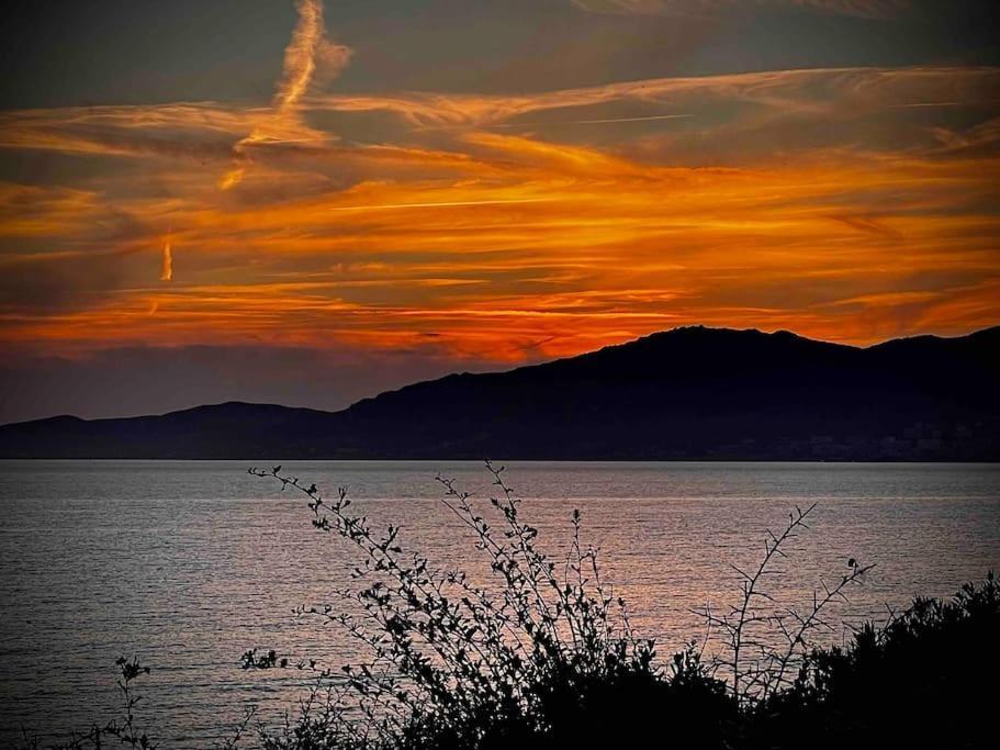 Vakantiehuis Proche Ajaccio Et Exclusive 2 A 10 Voyageurs