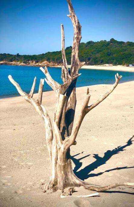 Proche Ajaccio Et Exclusive 2 A 10 Voyageurs * Bastelicaccia
